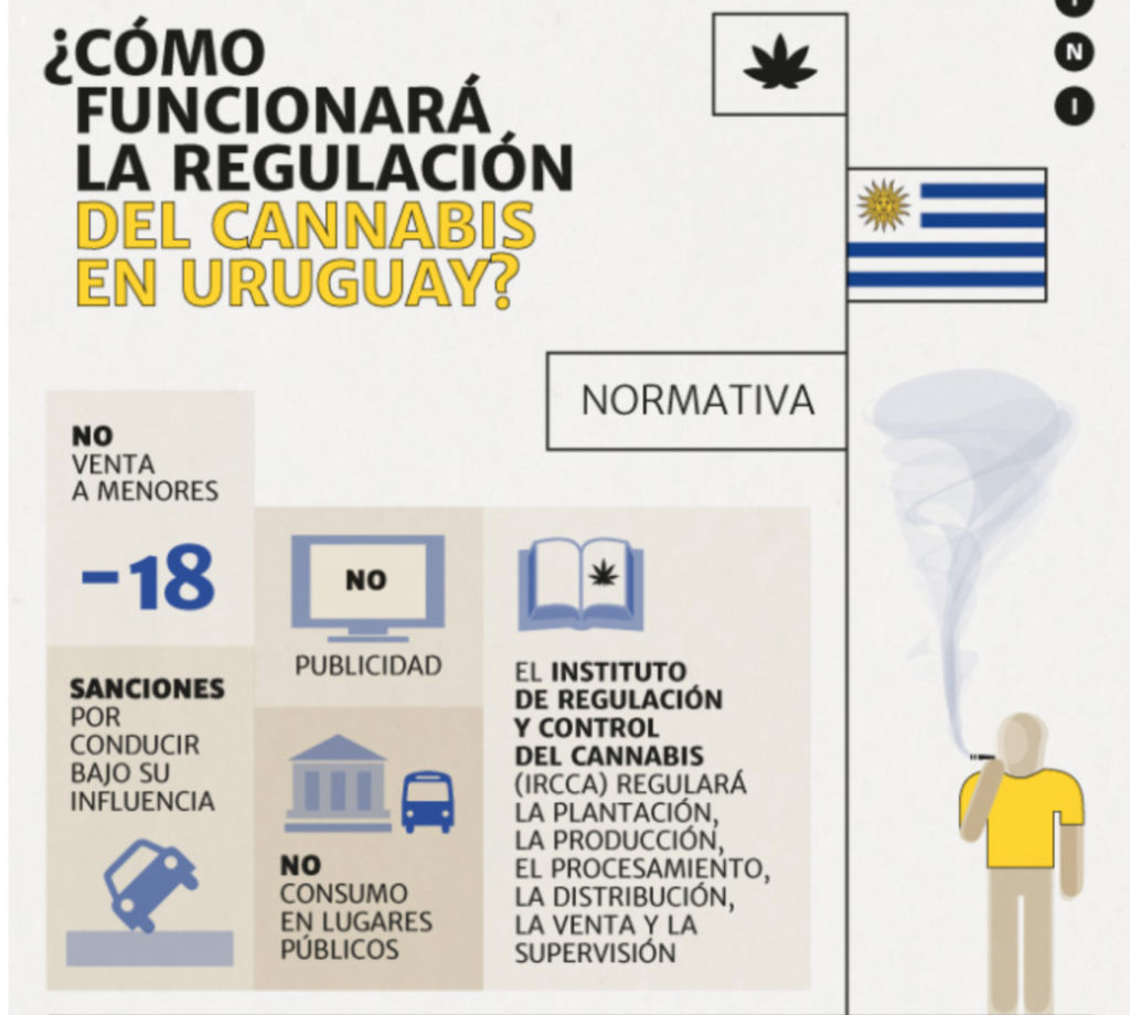 Como funcionará la regulación de cannabis en Uruguay?