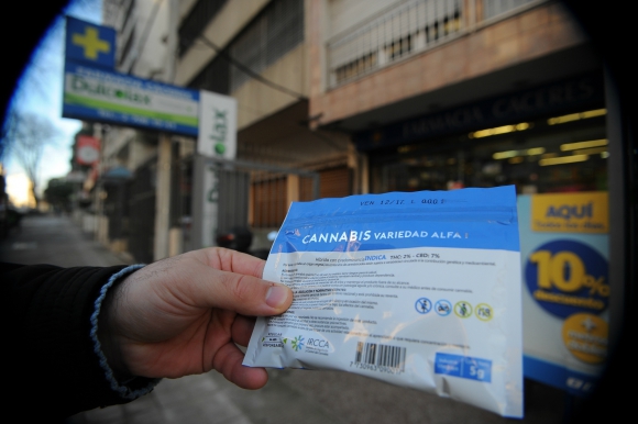 Venderán cannabis más potente en las farmacias