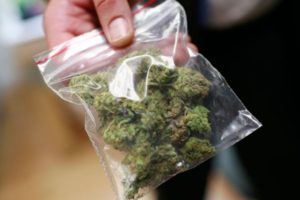 El consumo de cannabis podría mejorar la memoria a corto plazo, según un estudio