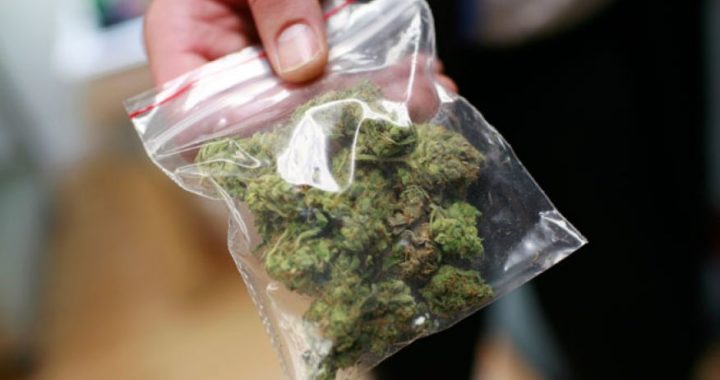 El consumo de cannabis podría mejorar la memoria a corto plazo, según un estudio