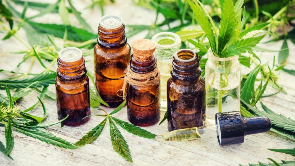 CANNABIS, UN PRESUNTO ALIADO QUE INQUIETA A LA CIENCIA