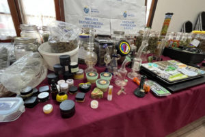 Operación Maléfica: 15 personas fueron detenidas por tráfico de drogas